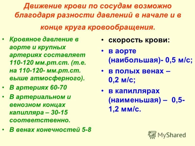 Виды движения крови по сосудам. Скорость движения крови по сосудам. Движение крови по сосудам скорость кровотока. Причины движения крови. Причины движения крови по сосудам.