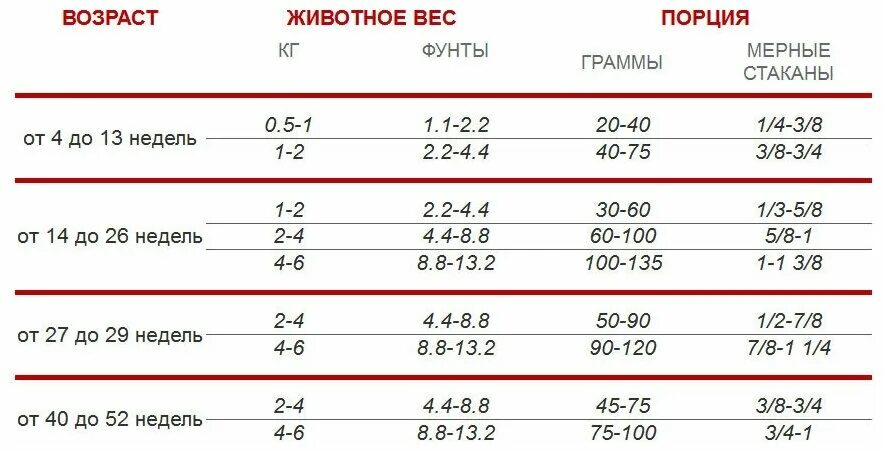12 фунтов в граммах