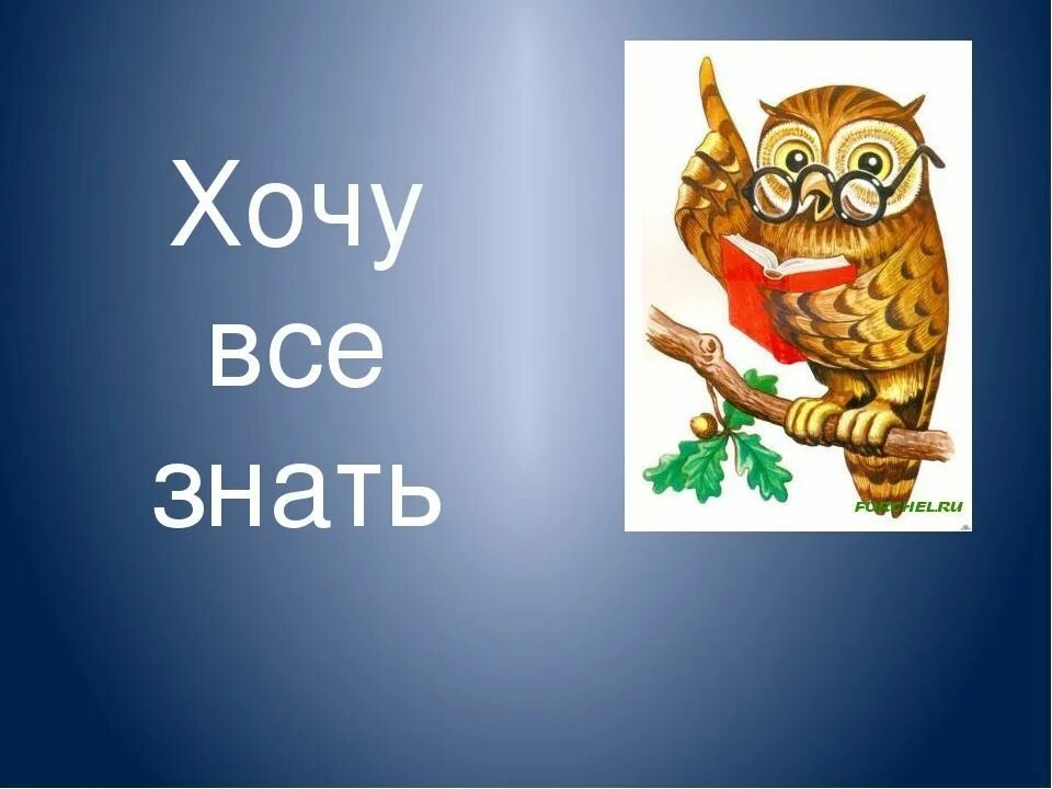 Хочу всё знать. Рисунок на тему хочу все знать. Картинка хочу всё знать для детей. Хочу все знать логотип.