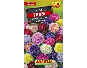Astra gnome