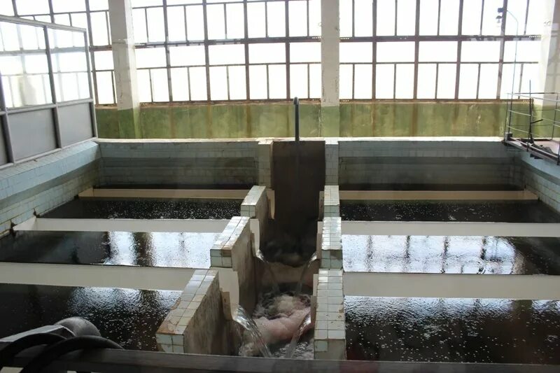 муп пвх камышин. муп г. муп г. очистные камышин. ханты-мансийска".