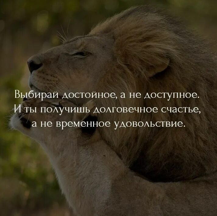 Включи жизнь достойна