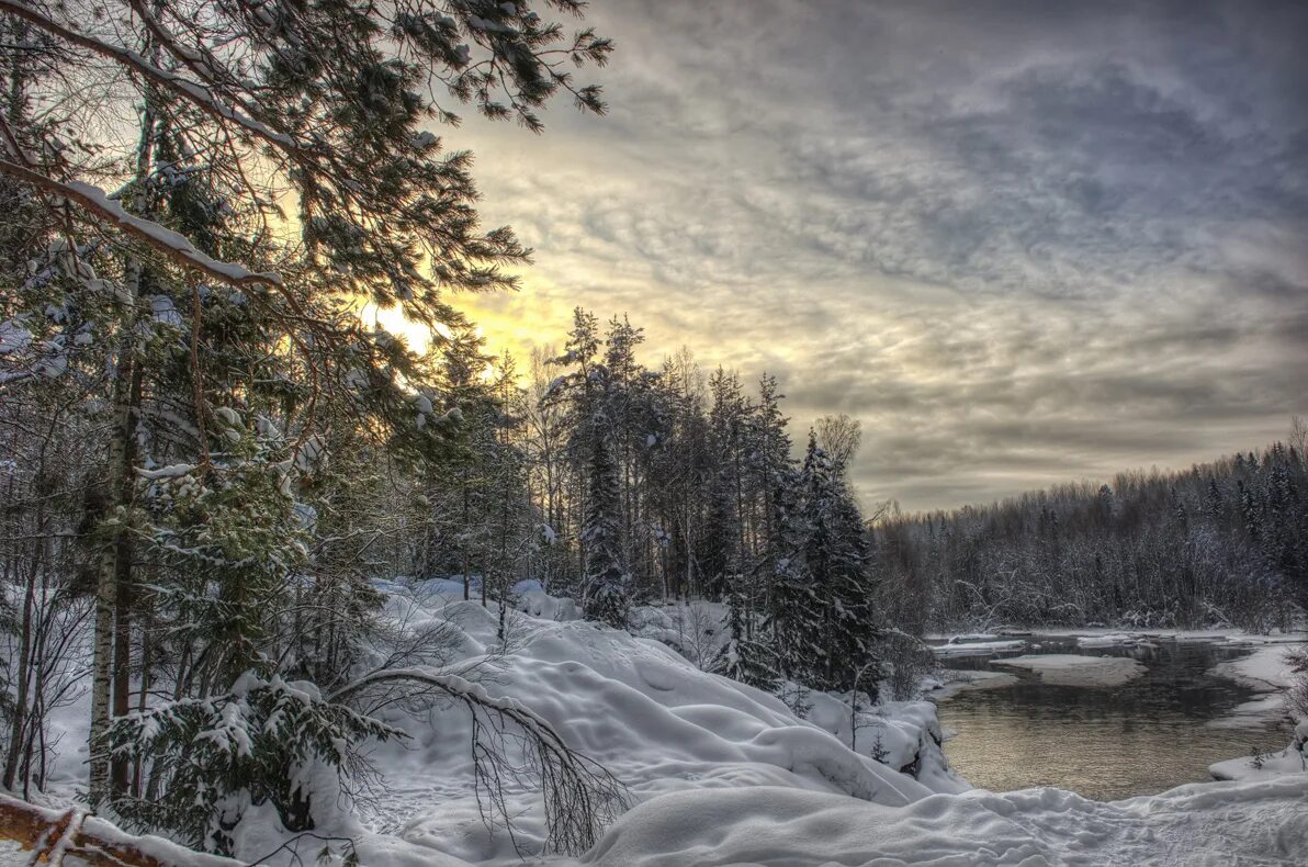 Зима в карелии. Зимняя природа Карелии. Снежный лес Карелия. Вонгозеро Карелия зимой. Карельский пейзаж зимой.
