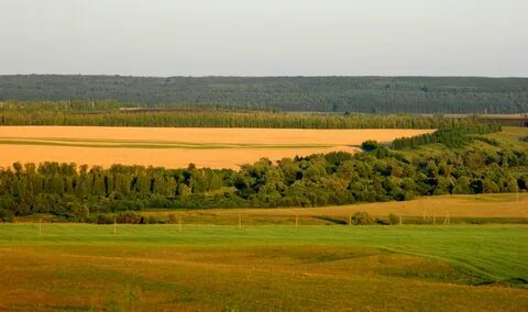 Земная поверхность и климат