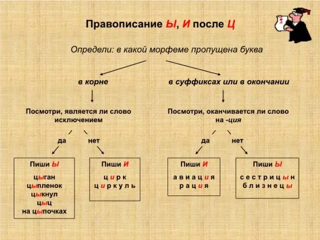 Ц в корнях и суффиксах. Ы-И после ц таблица. Алгоритм к правилу правописание и ы после ц. Правописание ы в корне суффиксах окончаниях. После ц и или ы правило в окончаниях.