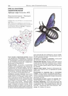 Самарская область книга