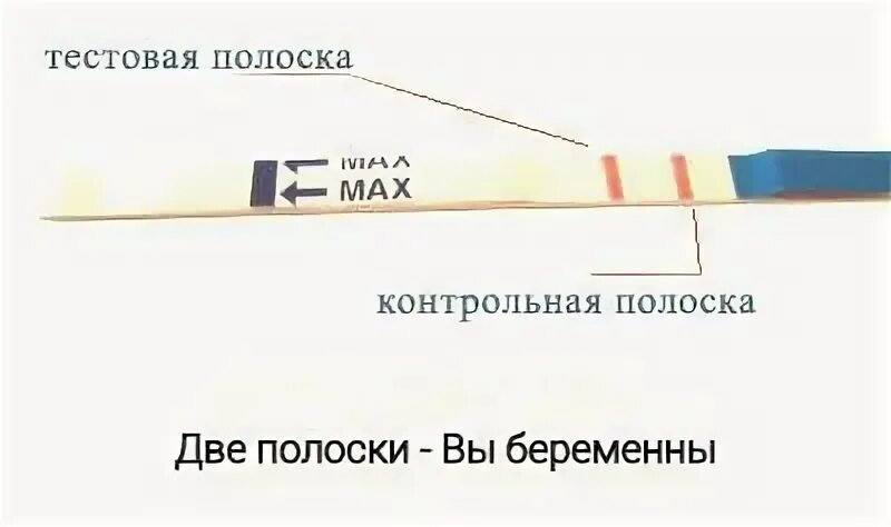 Как правильно пользоваться тестом на беременность фото Test positive stock vector. Illustration of birth, medical 211035969