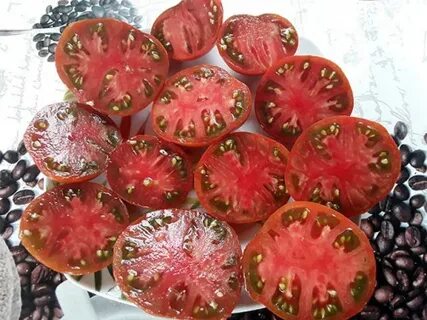 Гном смех кукабарры
