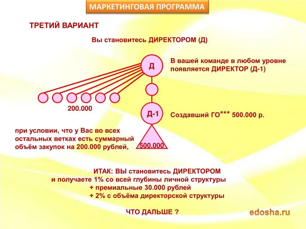 Став директором ооо. План маркетинга. Элементы маркетинг плана. Обновленный маркетинг план. Программа маркетинга.