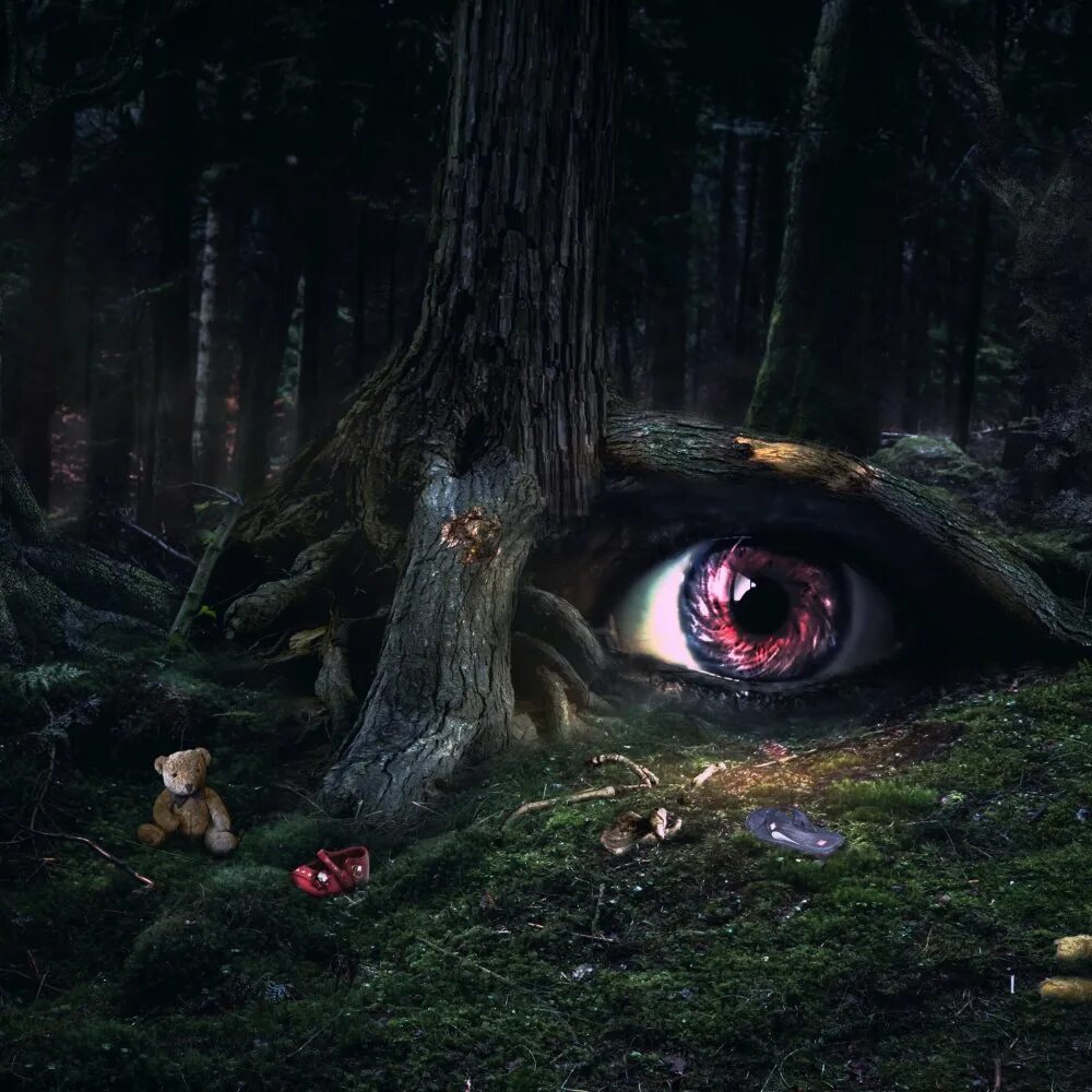 Очень страшный лес. Страшный лес. Жуткие истории леса. Жуткие истории леса. Страшно в лесу.