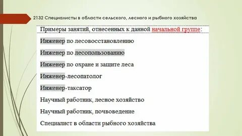 Главный инженер реестр