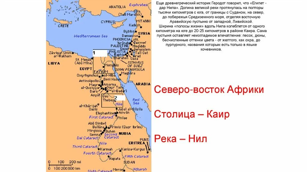 Патриции относятся к египту. Патриции относятся к египту