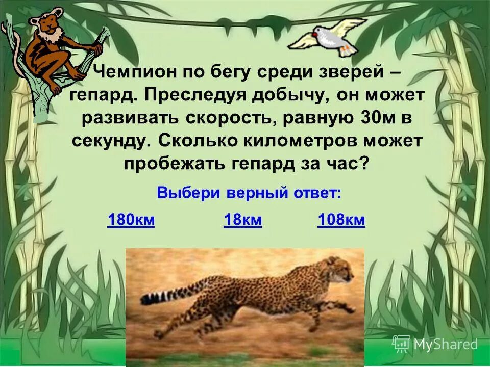 Сколько пробежал того. Какую скорость развивает Рысь. Сколько может пробежать гепард. Сколько может пробежать Лев. Сколько развивает скорость гепард.