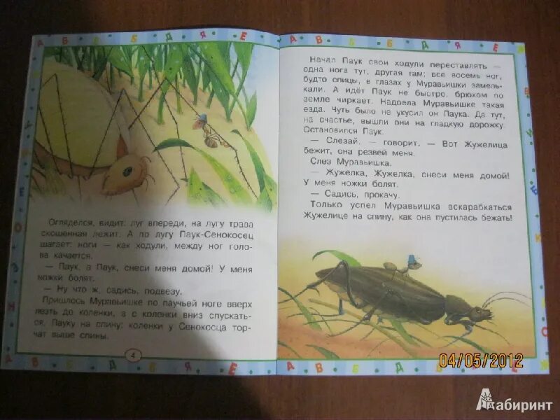 Какие насекомые помогали муравьишке добраться домой. Путешествие муравьишки Бианки книга. Биенки КНИГАПРИКЛЮЧЕНИЯ муравьишки. Приключения муравьишки Бианки план.