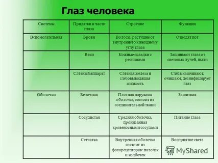 Система стр 2
