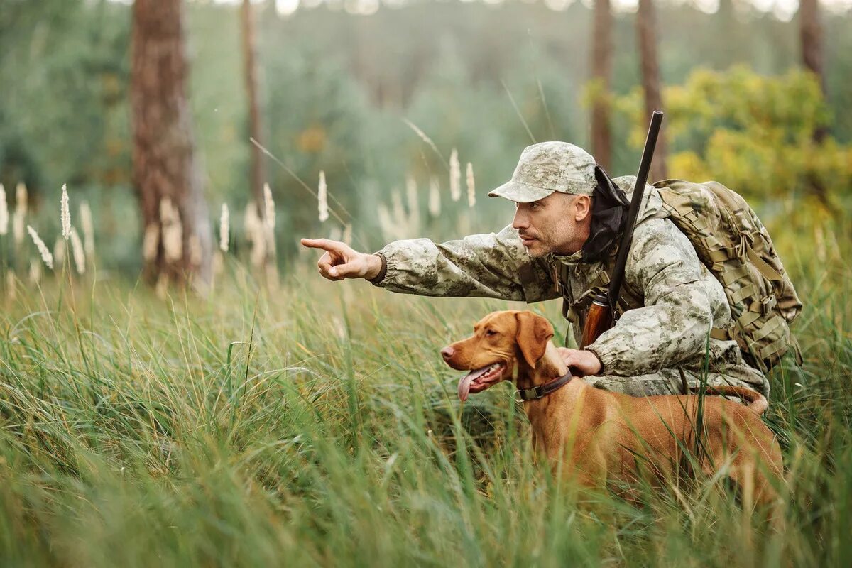 Охотник в лесу. Охотник с собакой. Собака на охоте. Охотник с собакой в лесу. Охотясь какой вид