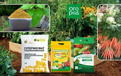 Удобрения для посадки овощей