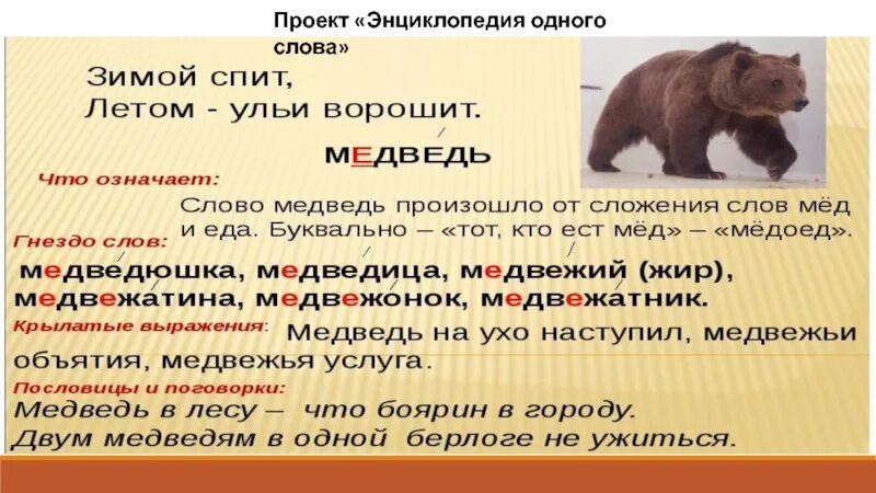 Значение слова медведь. Проект энциклопедия слова. Проект одного слова. Энциклопедия одного слова. Энциклопедия слова медведь.