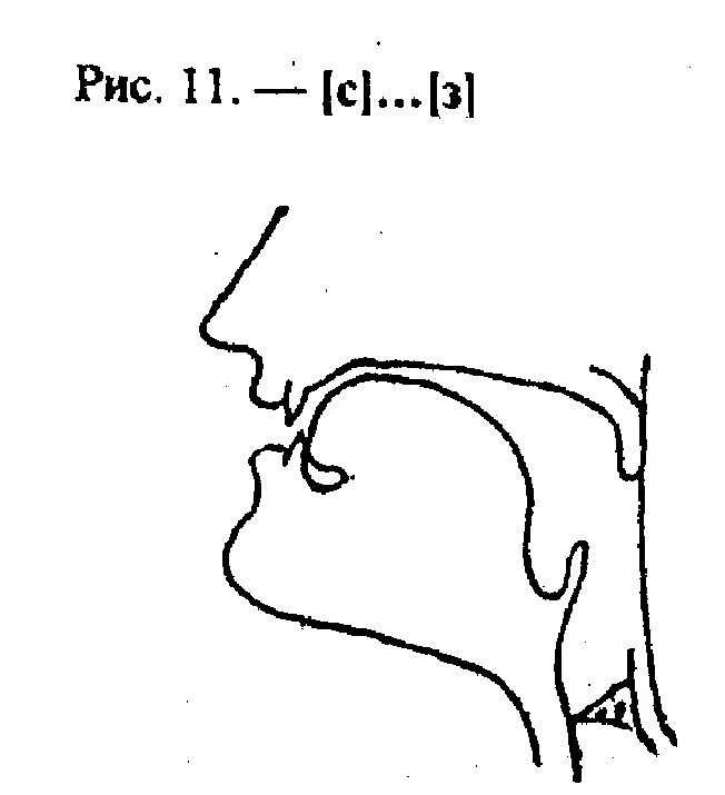 Произношение звука c. Артикуляционный профиль свистящих звуков. Профили артикуляции свистящих звуков. С З. Артикуляционный уклад свистящих звуков. Артикуляционный профиль звука з и зь.