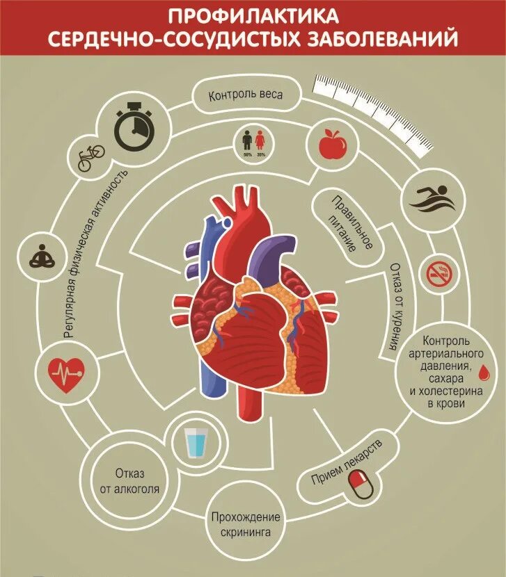 Профилактика сердечно-сосудистых заболеваний. Профилактика ССЗ. Профилактика заболеваний сердца. Памятка по профилактике сердечно сосудистых заболеваний. Профилактика болезней кровообращения