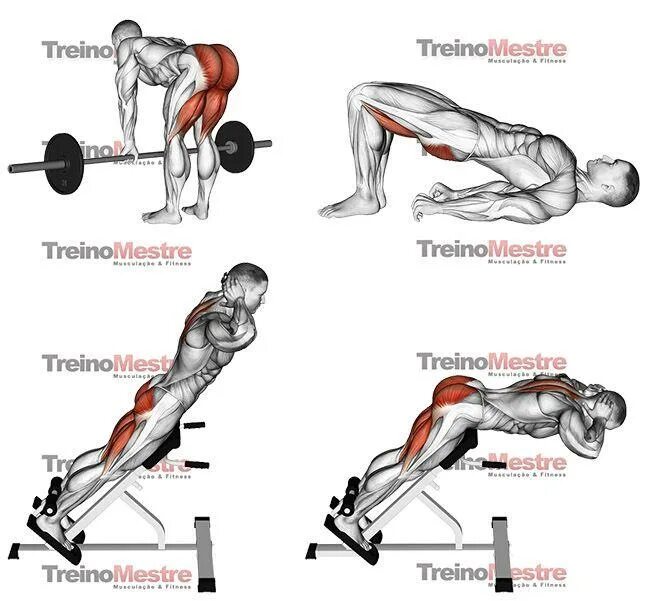 Упражнения для мышц ягодиц. Упражнения на ягодицы для мужчин. Упражнения на ноги для мужчин. Силовые упражнения для прокачки мышц ног.