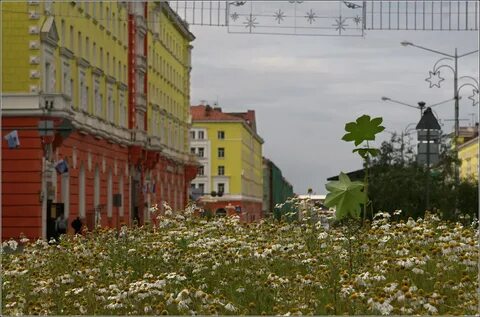 Лето в норильске