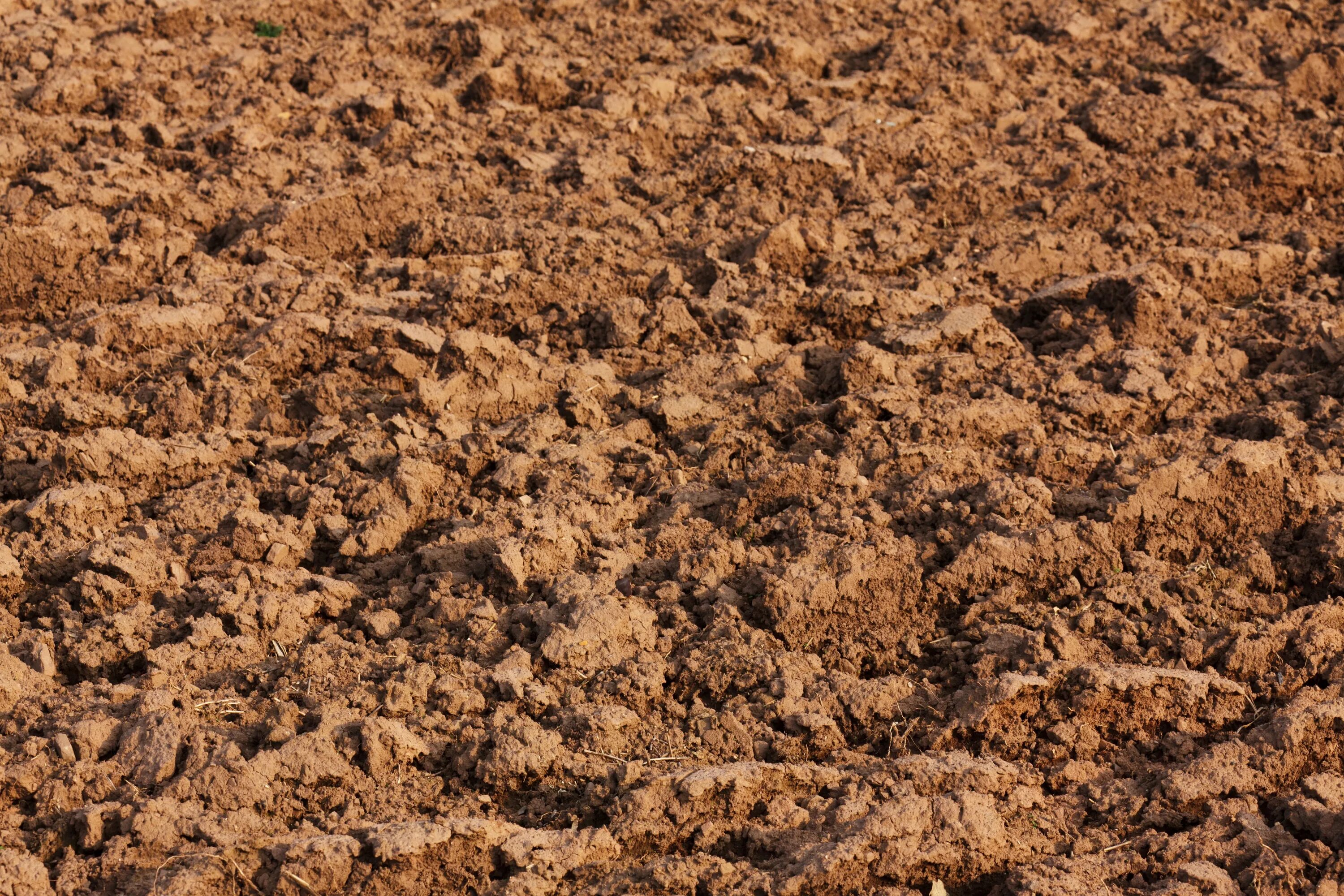 Ground