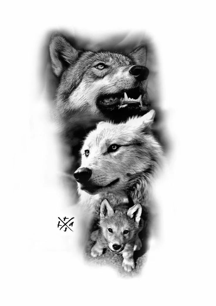 тату волк и волчонок. тату волчица. тату волк и волчица. тату волк и волчонок. волк с волчатами тату эскиз.