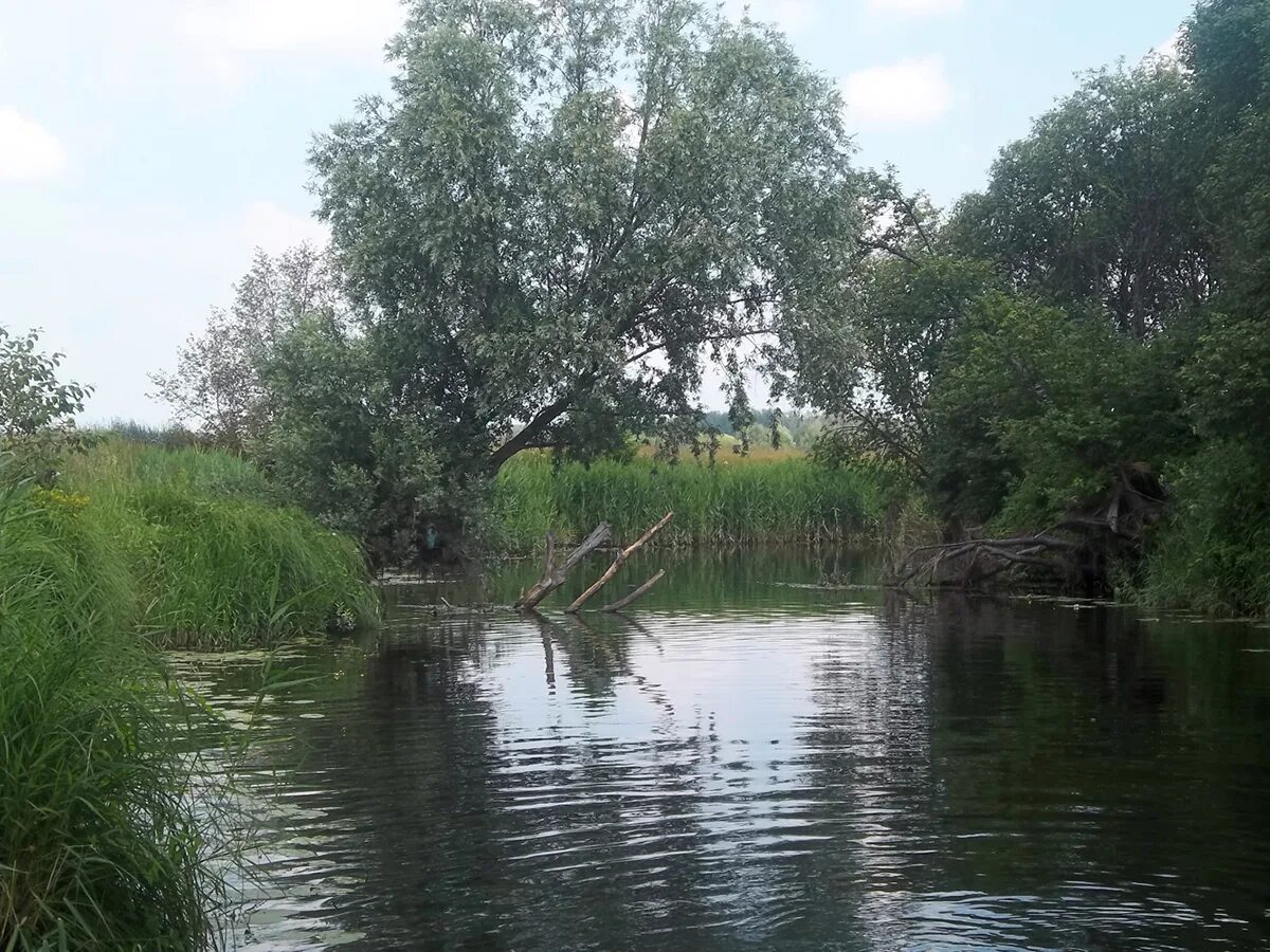 Турбанка Спасский район. Спасское Нижегородской области. Турбанка Спасский район Нижегородская область. Нижегородская область Спасский район деревня Турбанка авария. Погода в спасском районе село спасское нижегородской