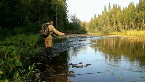 Северные реки видео