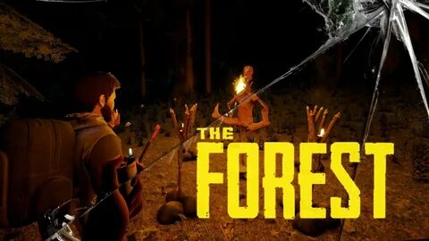 The forest енот