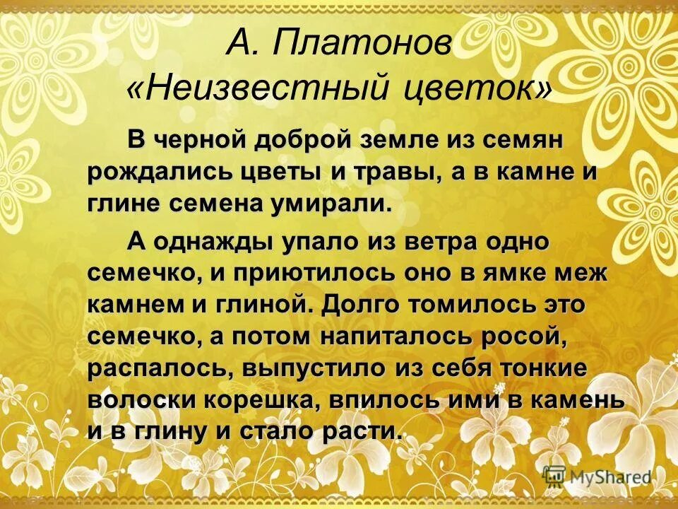 сказка быль неизвестный цветок. неизвестный цветок платонов краткое. произведение андрея платоновича платонова неизвестный цветок. сказка быль неизвестный цветок. сказка быль платонова неизвестный цветок.