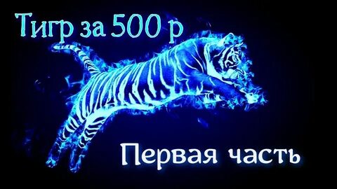 2022 чей год животное