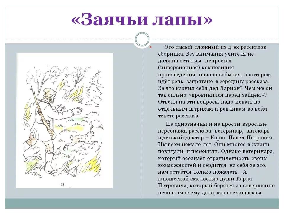 Рассказ Паустовского заячьи лапы. Рассказ Константина Паустовского заячьи лапы. Рассказы Паустовского заячьи лапы пересказ. Паустовский заячьи следы. Паустовский лапка