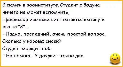 Привет с бодуна песня. Анекдоты про экзамены в школе. Юмор про экзамены в школе. Анекдот про бодун. Экзаменационные шутки.