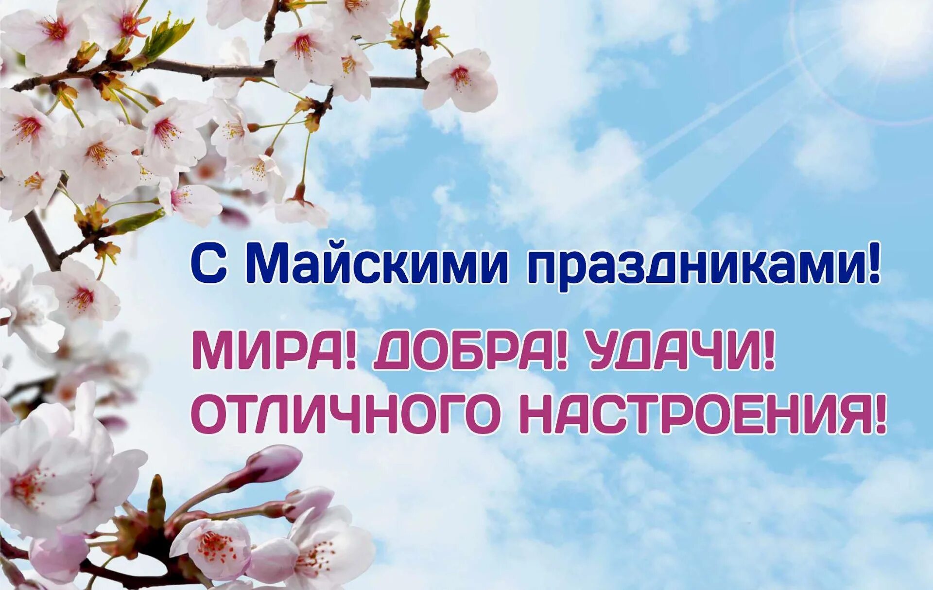 Мая интересная день. С наступающими майскими праздниками. Майские праздники. С Майс ими праздниками. С майскими праздн ками.