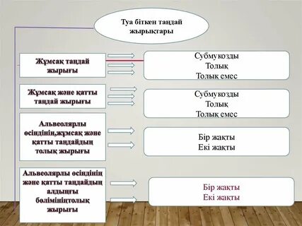 Гномдар мен миджеттер порно