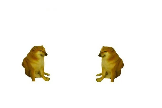 Эволюция собак мемов играть. Слабая собака мем. слабый песик мем. слабый doge. сильный доги мем.