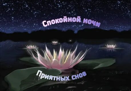 Ночной цветок 2
