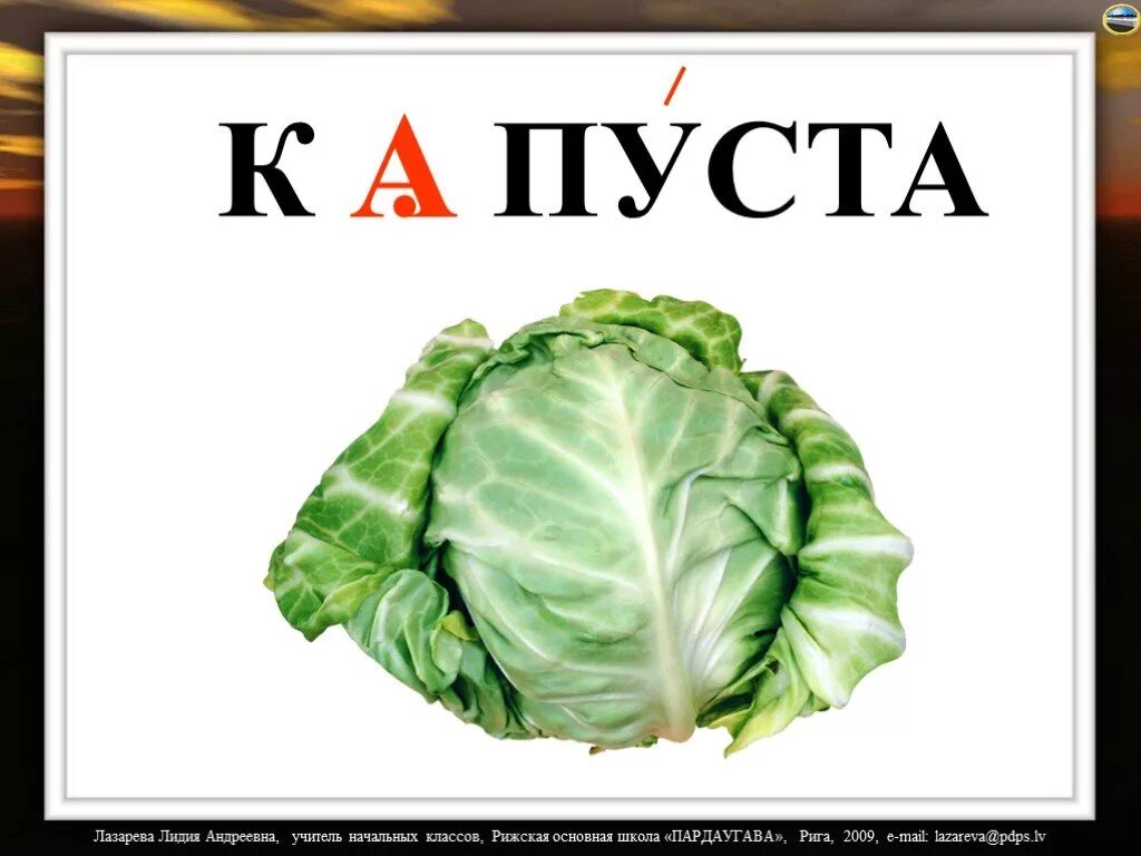 Капуста словарное слово. Капуста словарное слово 2 класс. Словарное слово капуста в картинках. Рисунок к словарному слову капуста.