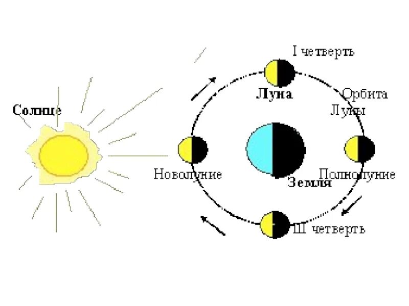 Движение и фазы Луны. Фазы Луны схема. Схема смены фаз Луны. Фазы Луны презентация.
