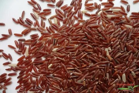 Red rice