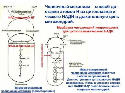 Механизм метода