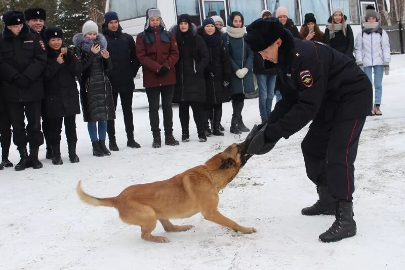 Кинолог иркутск. Кинологическая служба мвд. Ик 3 иркутск кинологи. Собаки таможенной службы. Кинологи гуфсин.