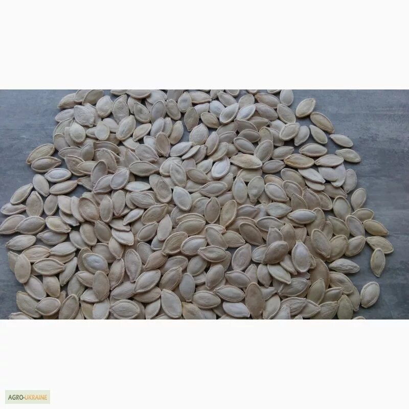 Серые семечки. Серые семечки. Серые семечки. Семена подсолнечника. Серые семечки.