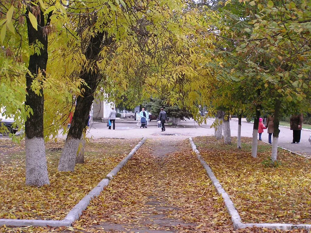 Погода в г семикаракорске. Центральная аллея Семикаракорск. Семикаракорск Ростовская область. Природа Семикаракорского района. Набережная в г Семикаракорске.