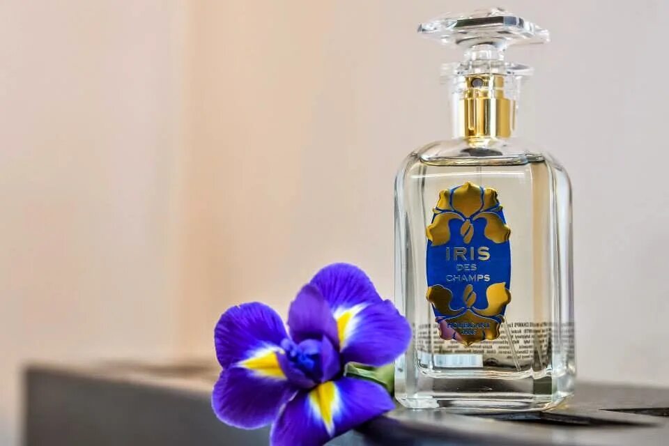 Iris парфюмерия