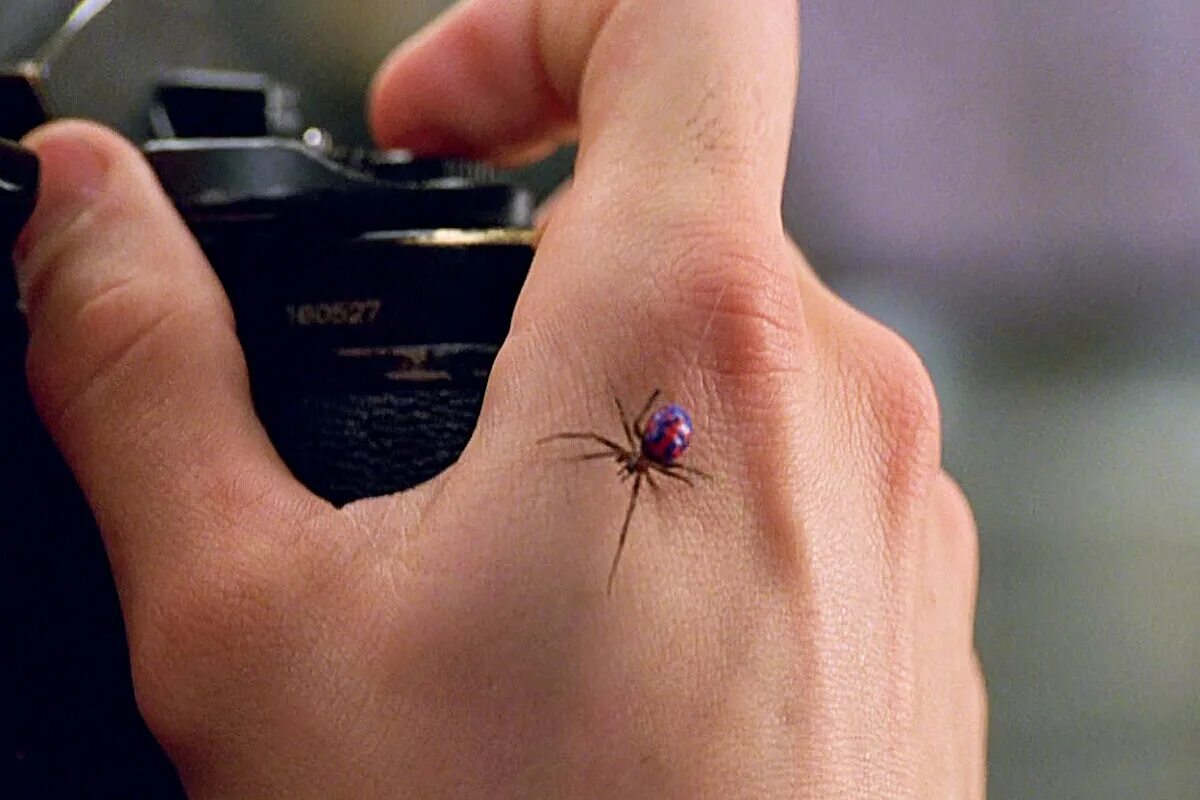 Паук который укусил Питера Паркера. Человек паук 2002 укус паука. Питер Паркер укус паука. Паук которого укусил радиоактивный человек.