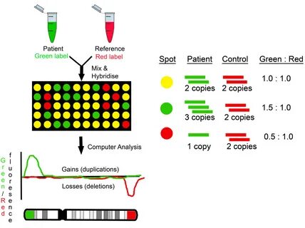 Comparative genomics