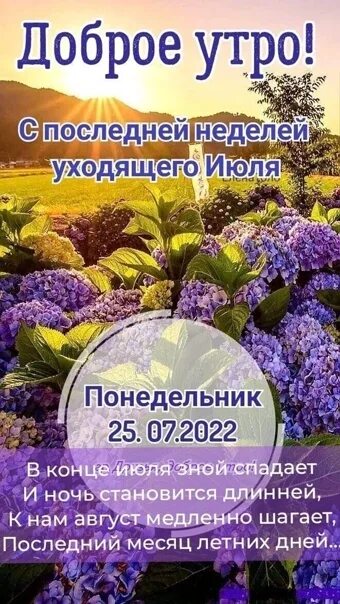 Праздники 25 июля 2025. 25 июля праздник. 25 июля день вне времени. благословенного понедельника. 25 июля праздник день следствия.